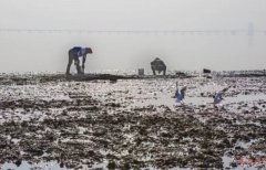 厲害了wuli青島！厲害了wuli紅島??！