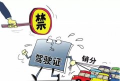 青島的朋友們注意啦，9月起禁止使用他人駕照銷