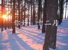 抓住2016年的尾巴給自己充充電！12月，加油！