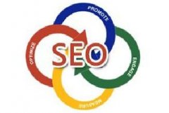 網站文章被百度秒收錄的訣竅